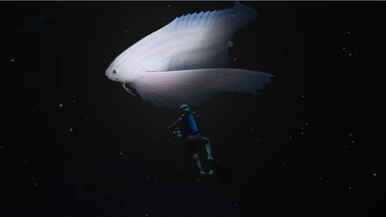 ENDLESS OCEAN LUMINOUS