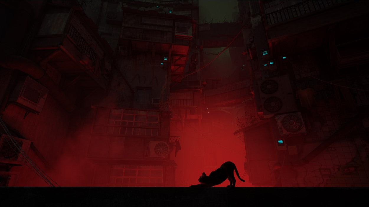 STRAY