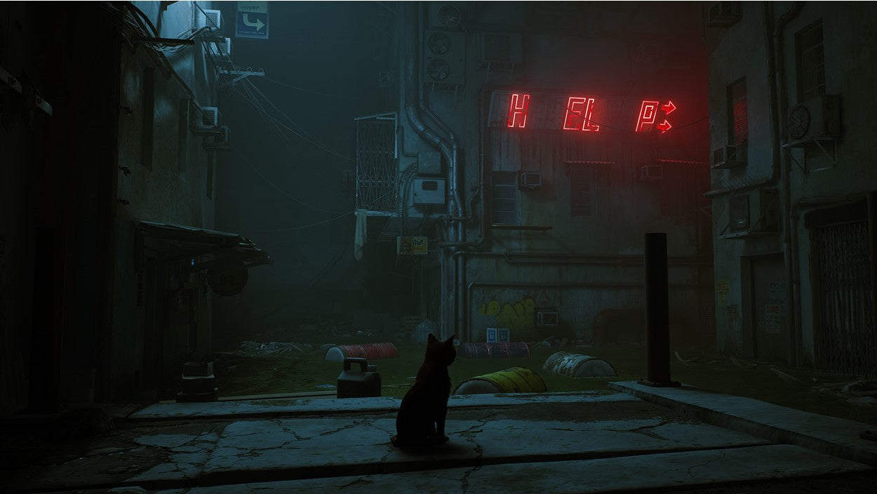 STRAY