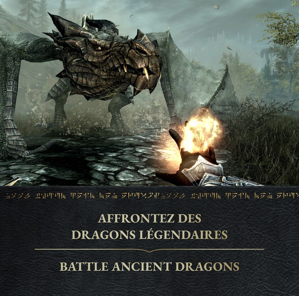 SKYRIM: ANNIVERSARY EDITION (CODE IN BOX)