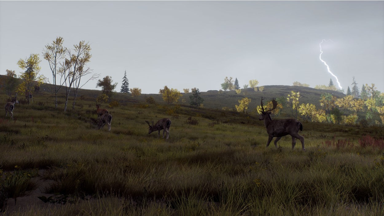 WAY OF THE HUNTER: WILD EXPEDITIONS | (Series X Only)