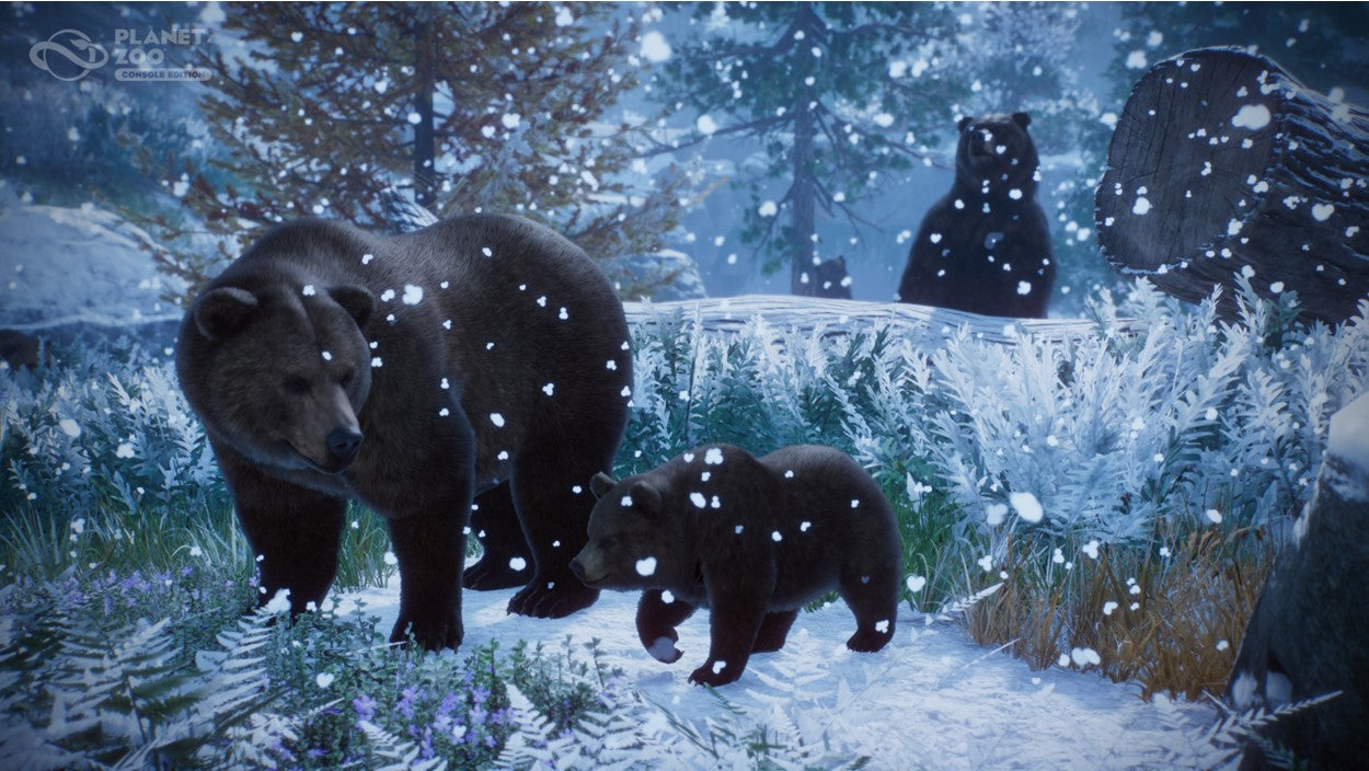 PLANET ZOO CONSOLE ED