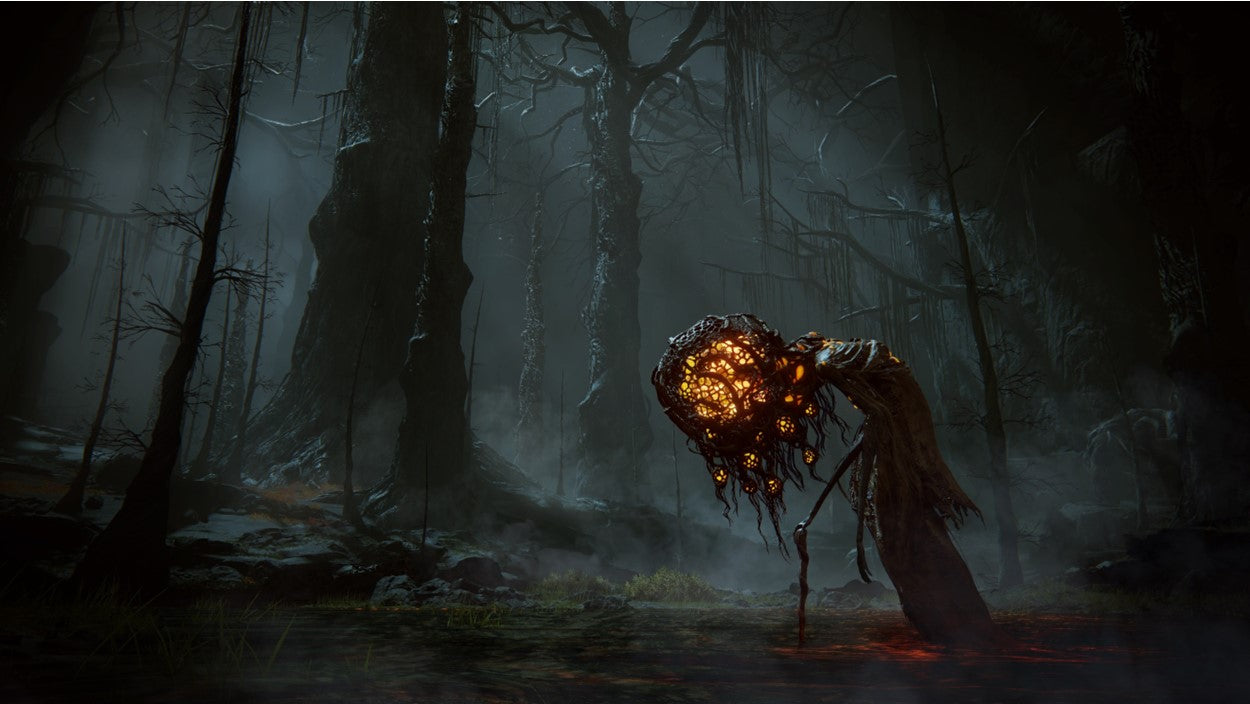 ELDEN RING - SHADOW OF THE ERDTREE EDITION (SERIES X ONLY)