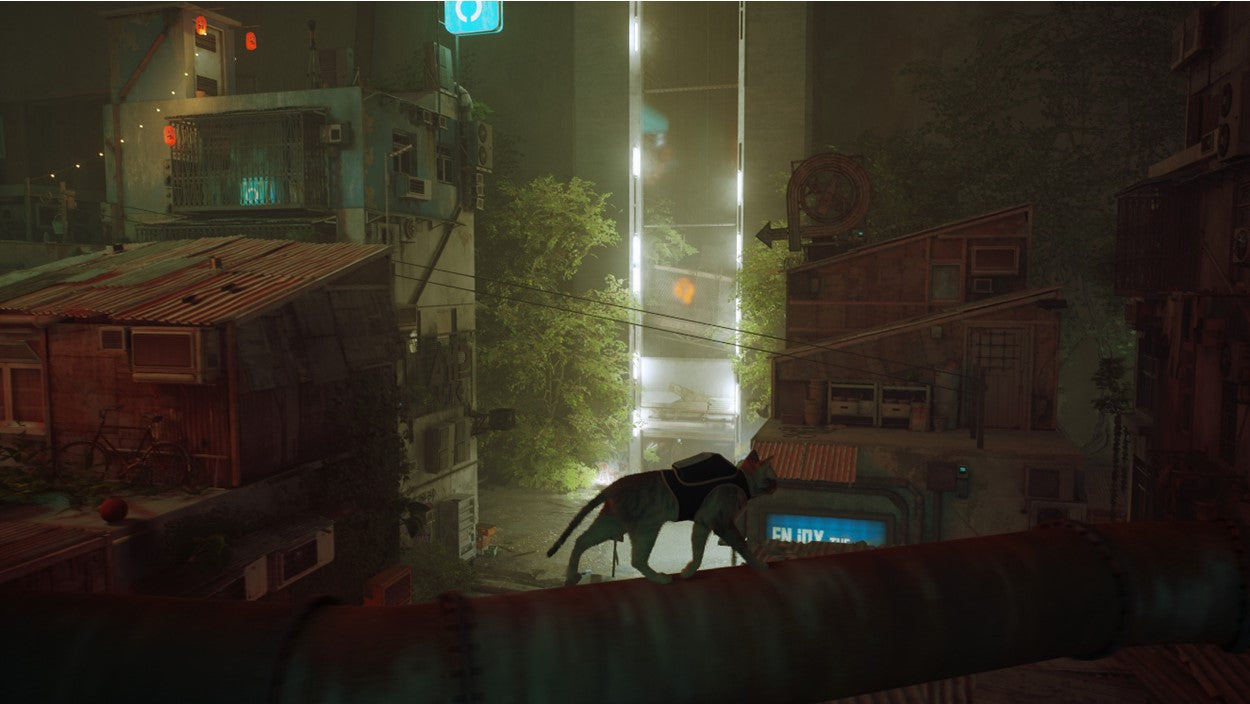 STRAY