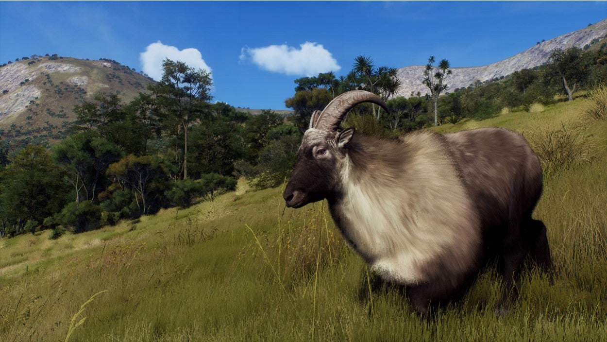 WAY OF THE HUNTER: WILD EXPEDITIONS | (Series X Only)