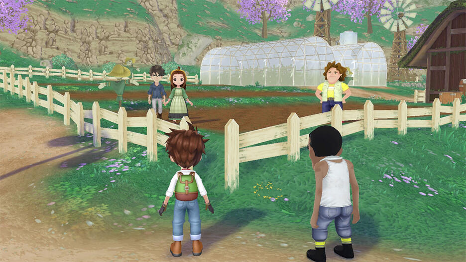 STORY OF SEASONS A WONDERFUL LIFE