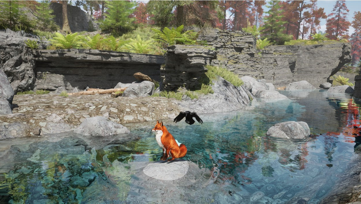 SPIRIT OF THE NORTH 2