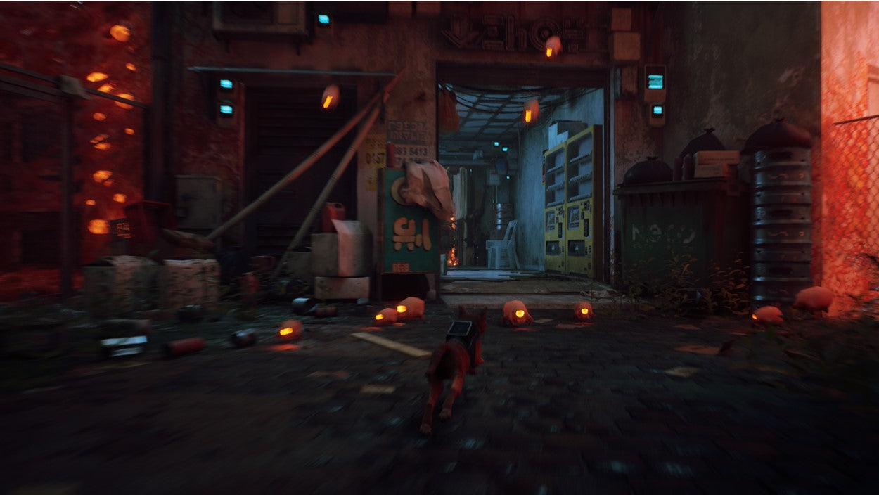 STRAY