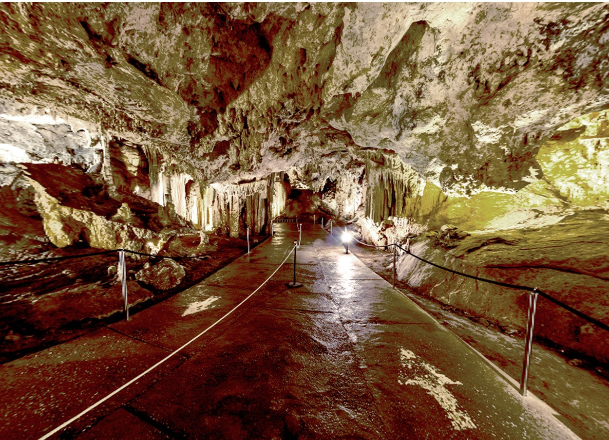 DESOLATIUM (Pre-owned)