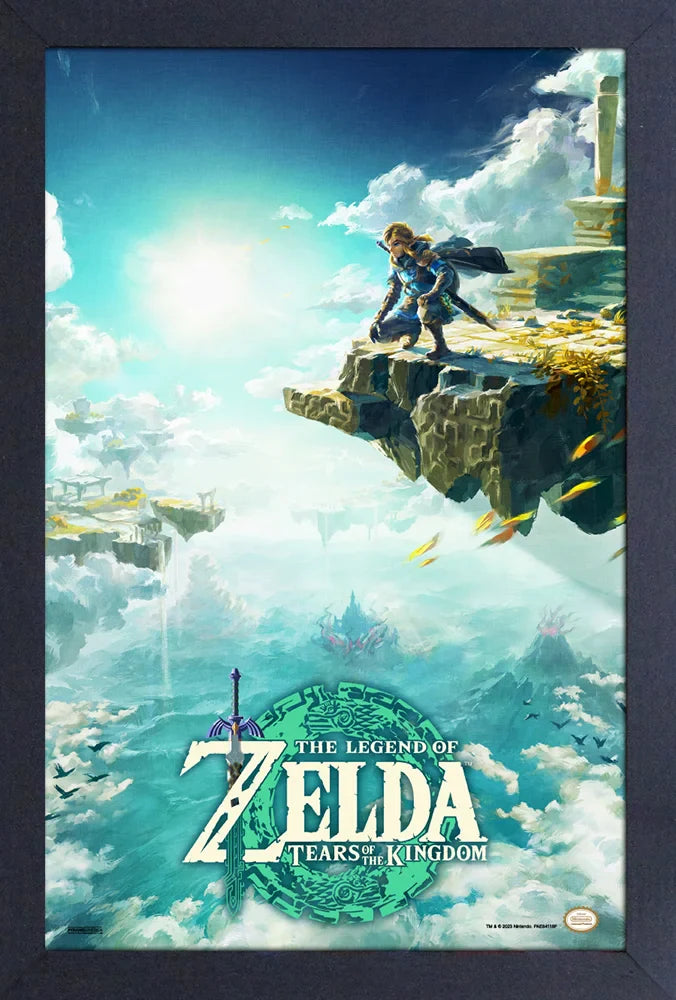Art - Zelda Tears of the Kingdom Framed