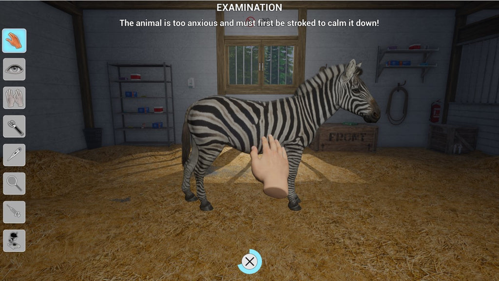 MY VET PRACTICE IN THE ZOO