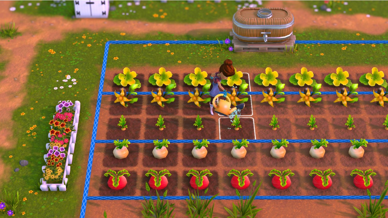 MY UNIVERSE 2-IN-1 CULINARY COLLECTION