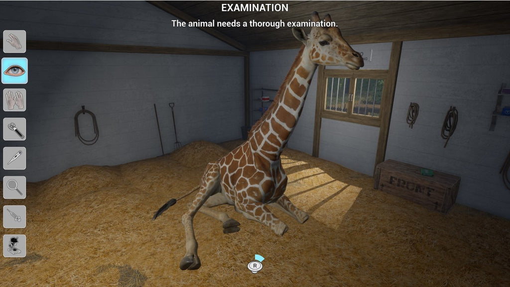 MY VET PRACTICE IN THE ZOO