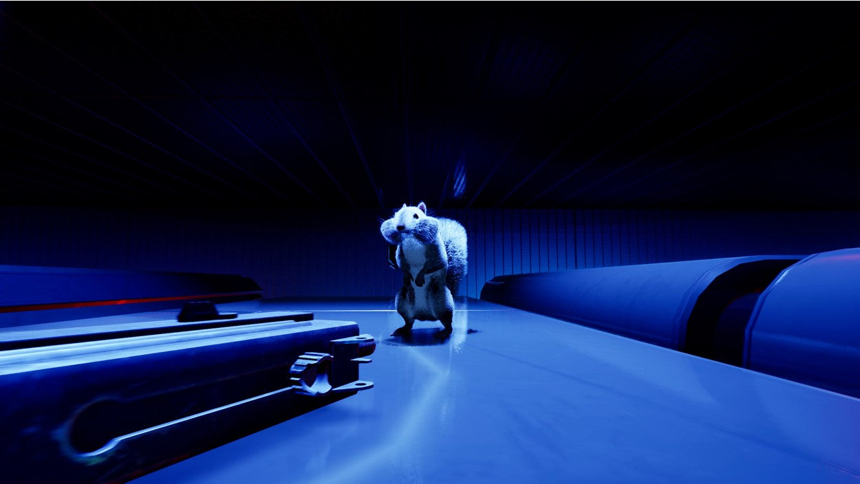 SQUIRREL WITH A GUN | (SERIES X ONLY)