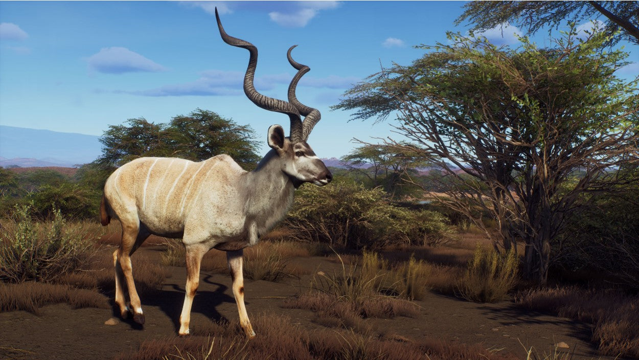 WAY OF THE HUNTER: WILD EXPEDITIONS | (Series X Only)
