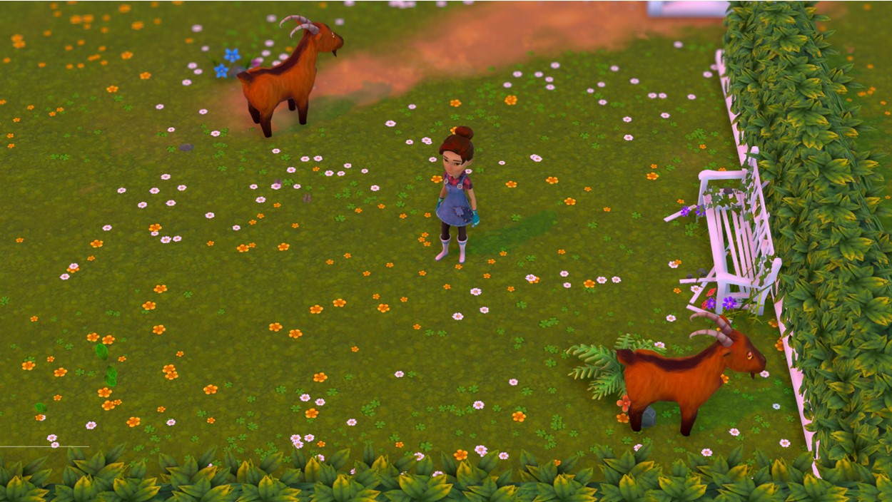 MY UNIVERSE 2-IN-1 CULINARY COLLECTION