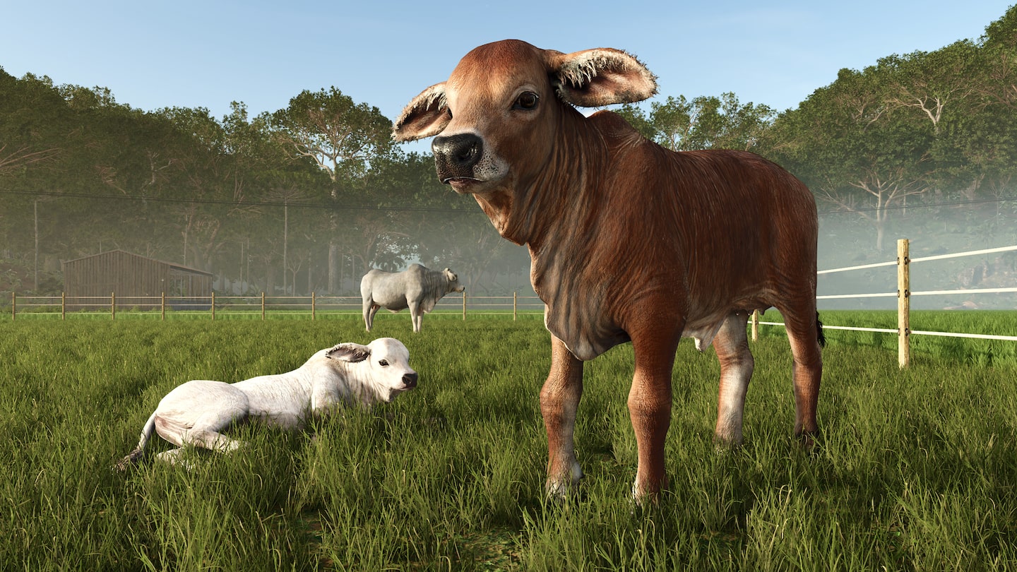FARMING SIMULATOR 25: BEANS & ALPACAS ED.
