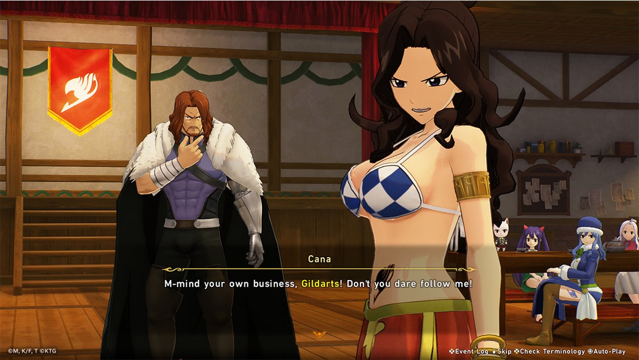 FAIRY TAIL 2