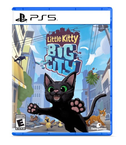 LITTLE KITTY, BIG CITY