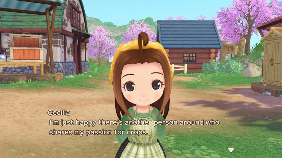 STORY OF SEASONS A WONDERFUL LIFE