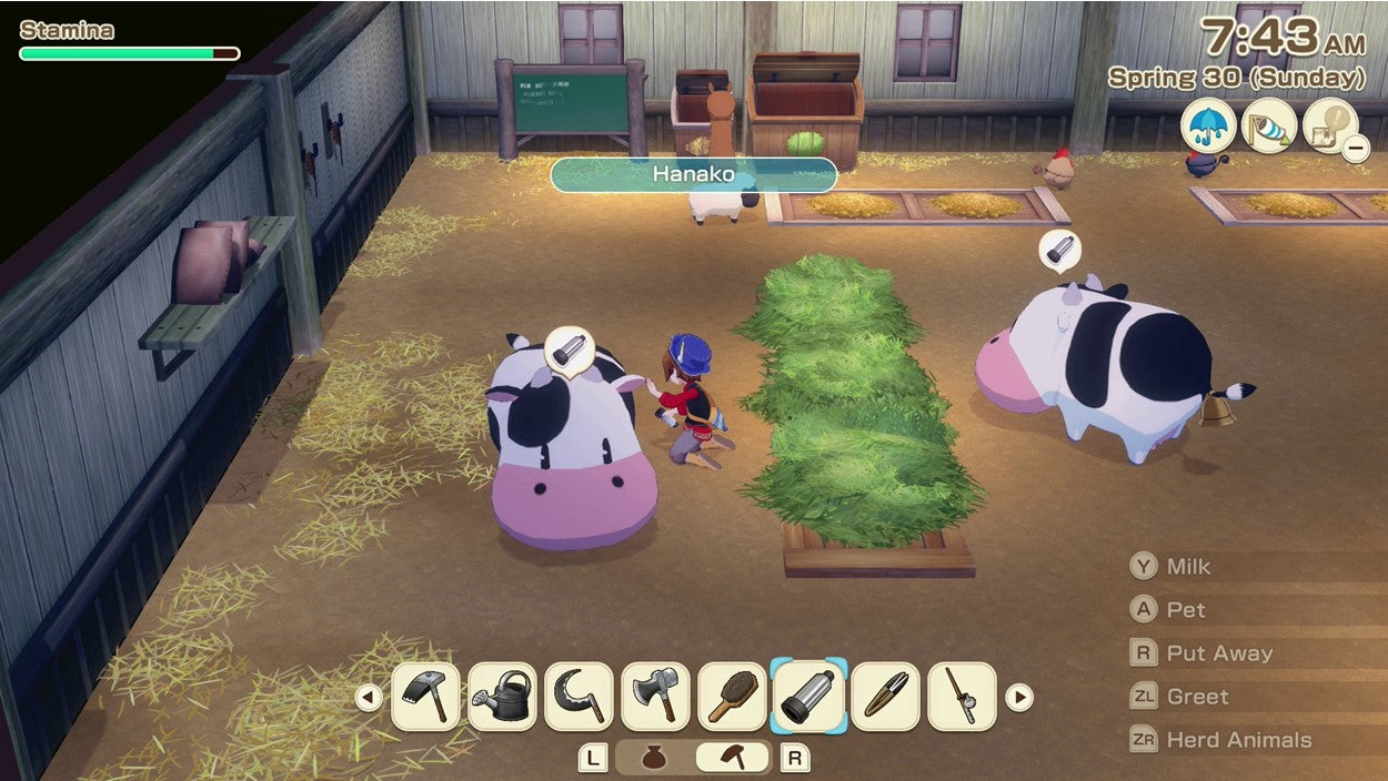STORY OF SEASONS GRAND BAZAAR | STANDARD EDITION