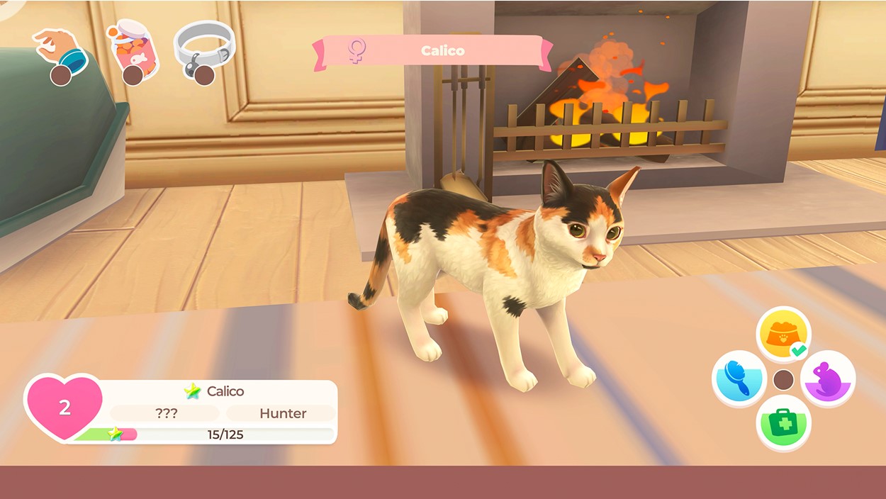 CAT RESCUE STORY