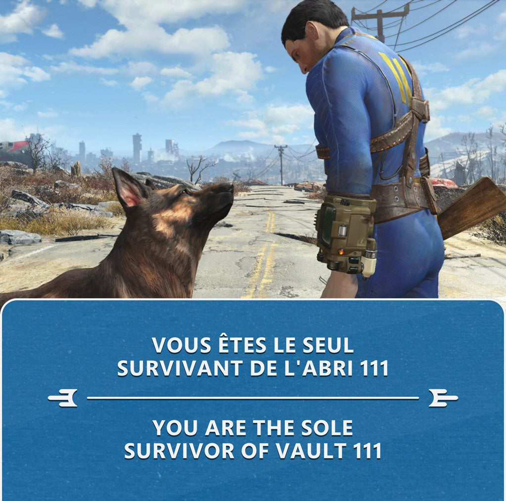 FALLOUT 4: ANNIVERSARY EDITION (CODE IN BOX)