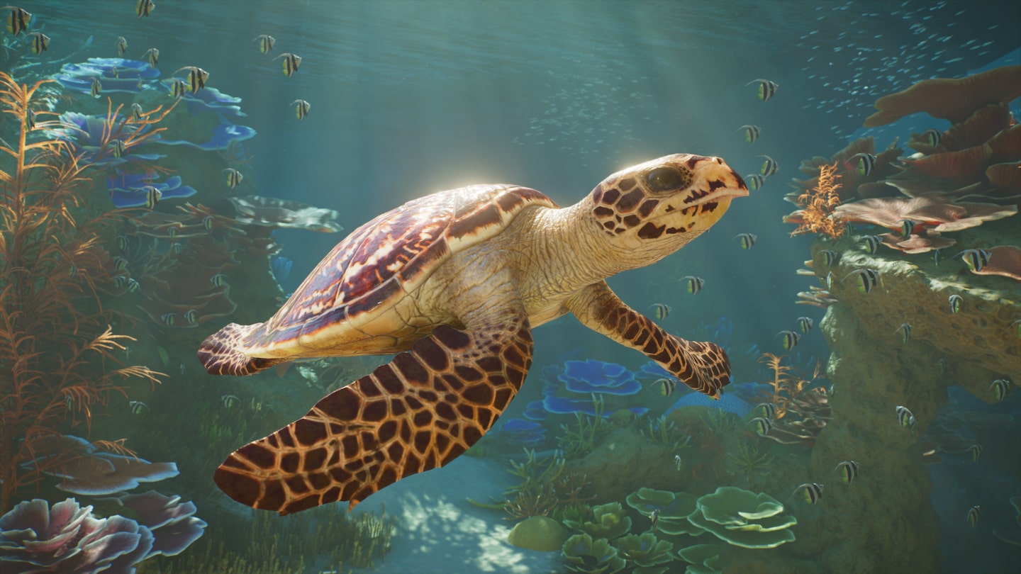 PLANET ZOO 2