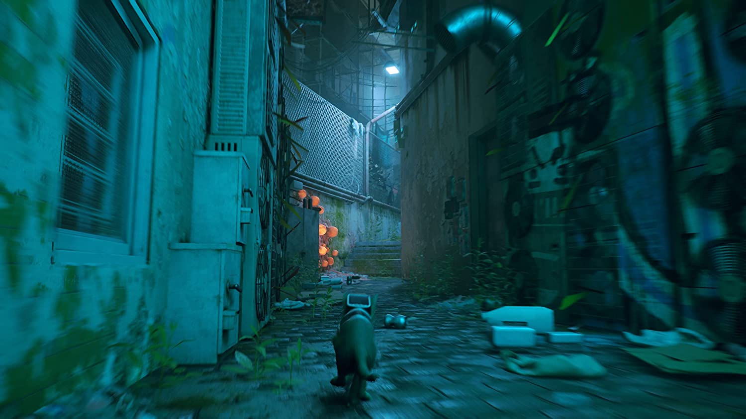 Stray (Pre-owned)