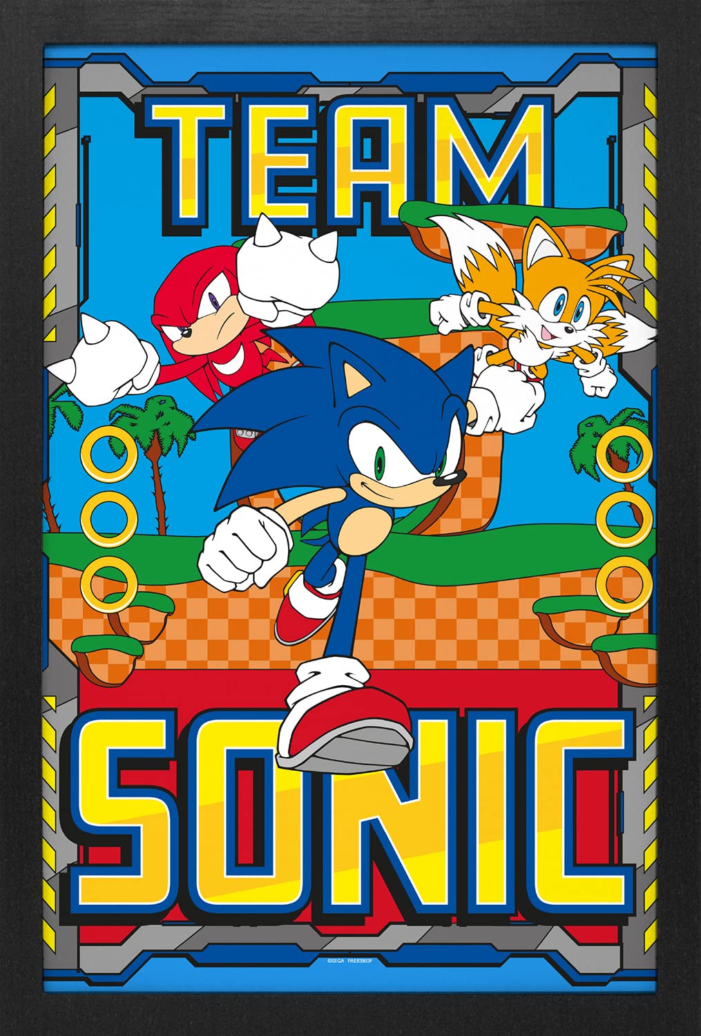 ART - Team Sonic Framed