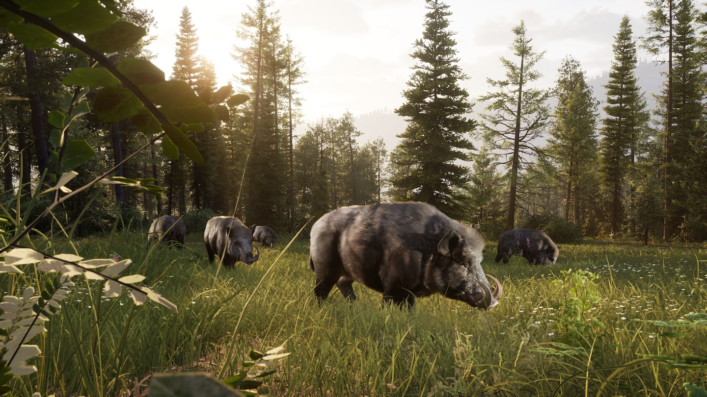 WAY OF THE HUNTER 2