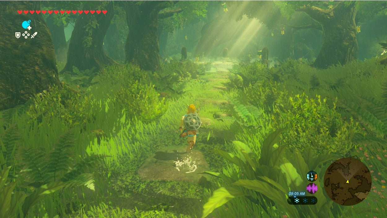 THE LEGEND OF ZELDA: BREATH OF THE WILD | SWITCH 2 EDITION