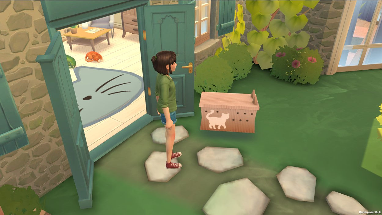 CAT RESCUE STORY