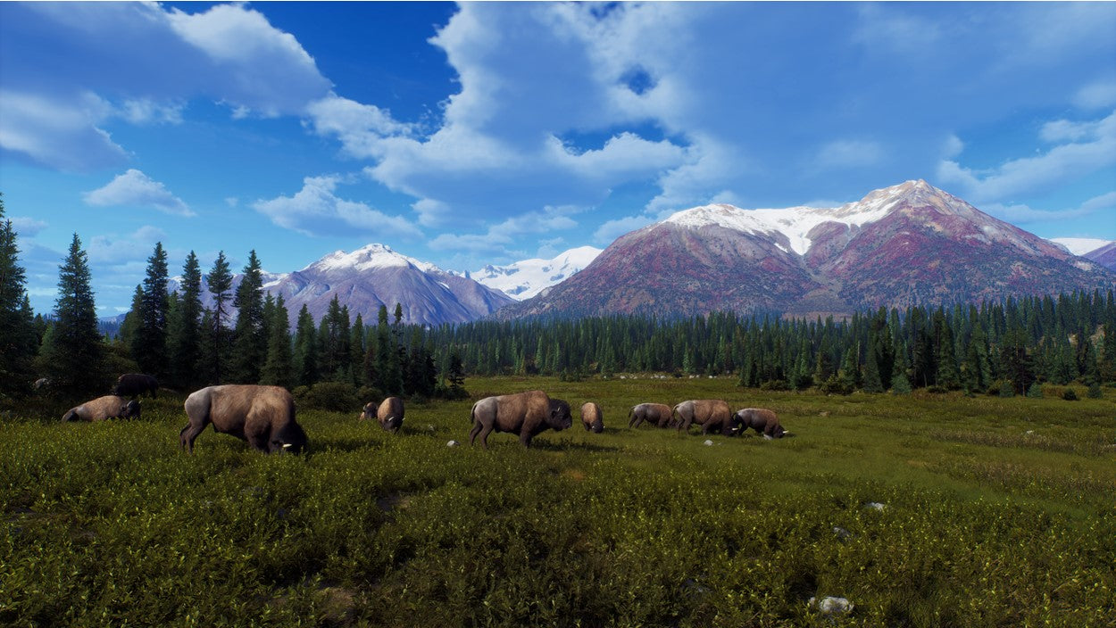 WAY OF THE HUNTER: WILD EXPEDITIONS | (Series X Only)