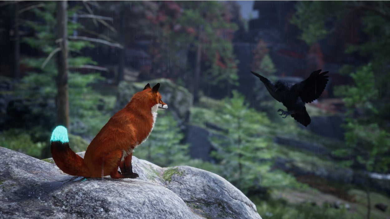 SPIRIT OF THE NORTH 2