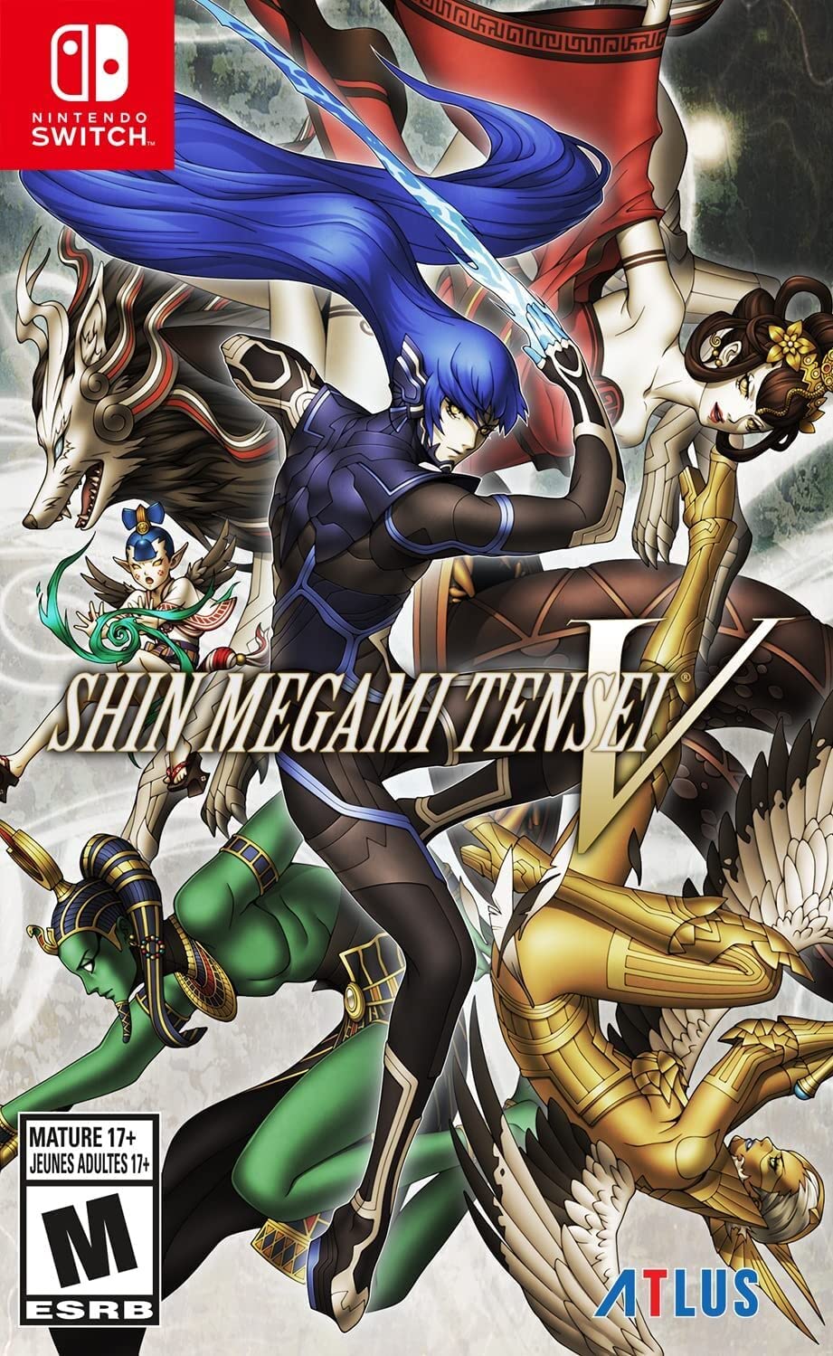 SHIN MEGAMI TENSEI V (Standard Edition) (Pre-owned)