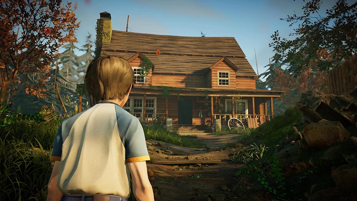 ALFRED HITCHCOCK VERTIGO LIMITED EDITION (Pre-owned)