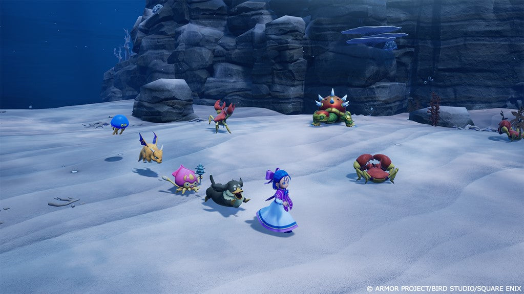 DRAGON QUEST MONSTERS: THE WITHERED WORLD