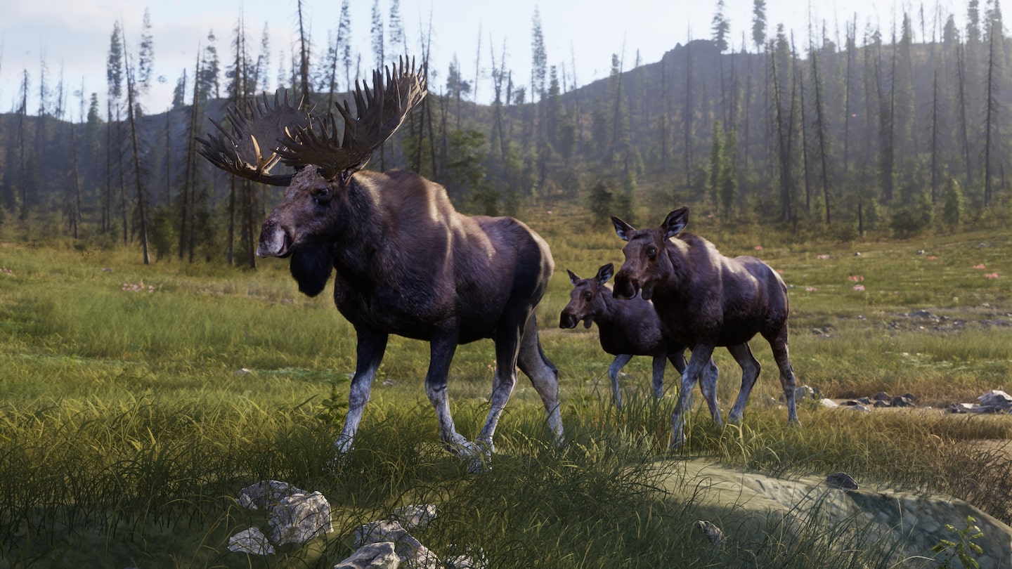 WAY OF THE HUNTER 2