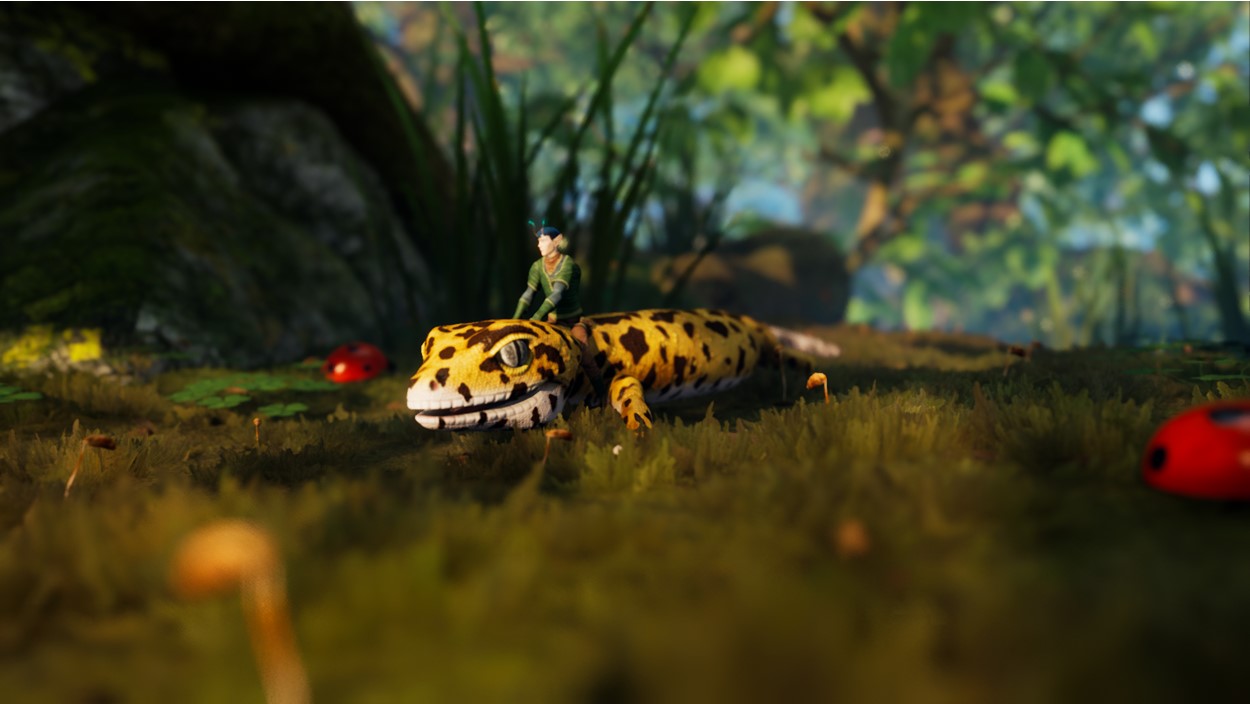 SMALLAND SURVIVE THE WILDS (Pre-owned)