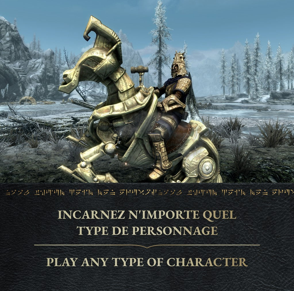 SKYRIM: ANNIVERSARY EDITION (CODE IN BOX)