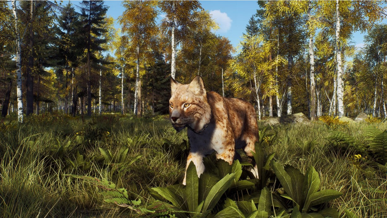 WAY OF THE HUNTER: WILD EXPEDITIONS | (Series X Only)