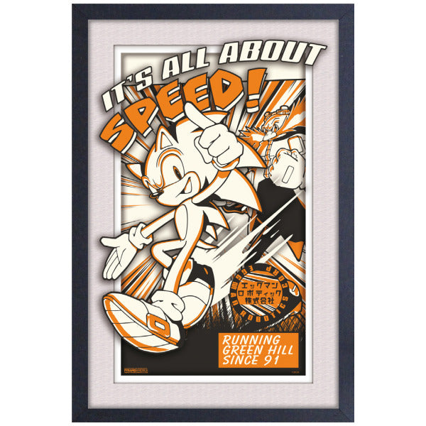 All About Speed Sonic Faux Matte Framed