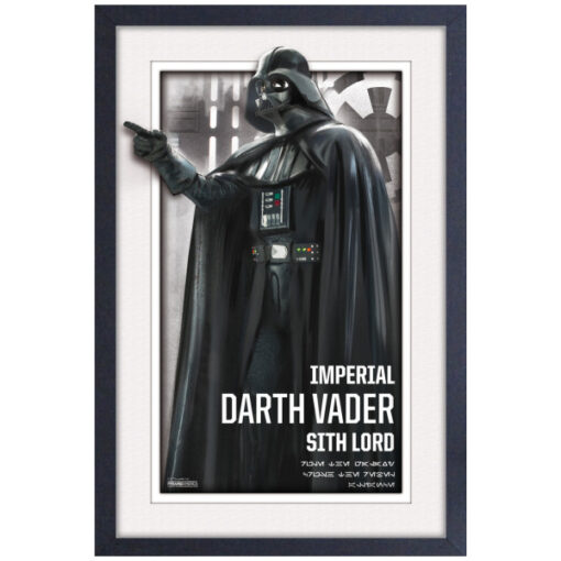 Star Wars Vader Imperial Lord Faux Matte Framed