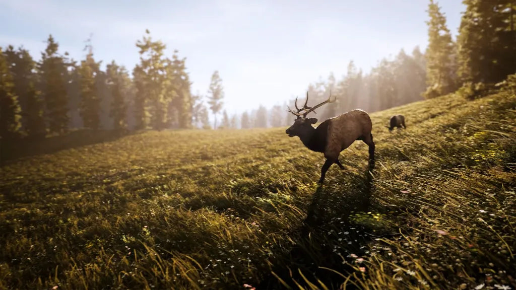 HUNTING SIMULATOR 3 (SERIES X ONLY)