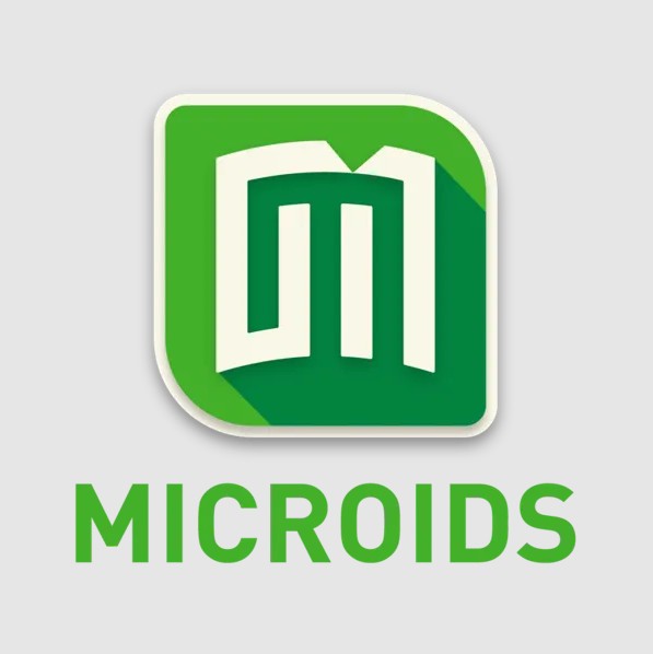 Microplay Video Games 