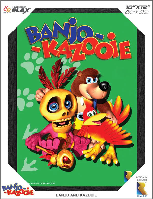 Banjo-Kazooie Pixel 3D Framed