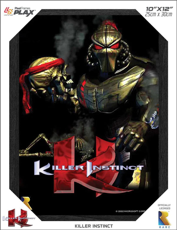 Killer Instinct Pixel 3D Framed