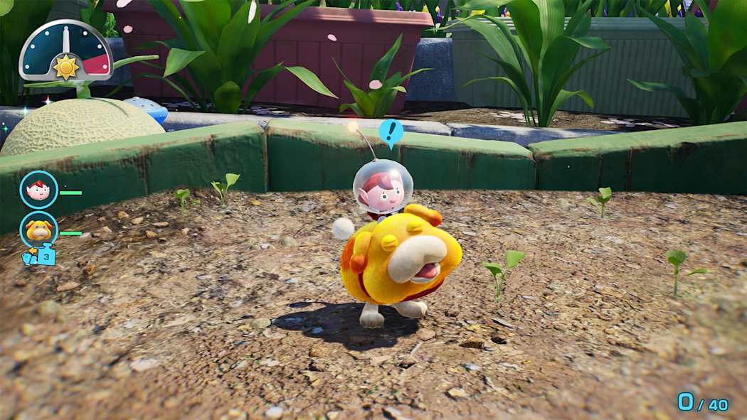 PIKMIN 4 + DANDORI ACADEMY