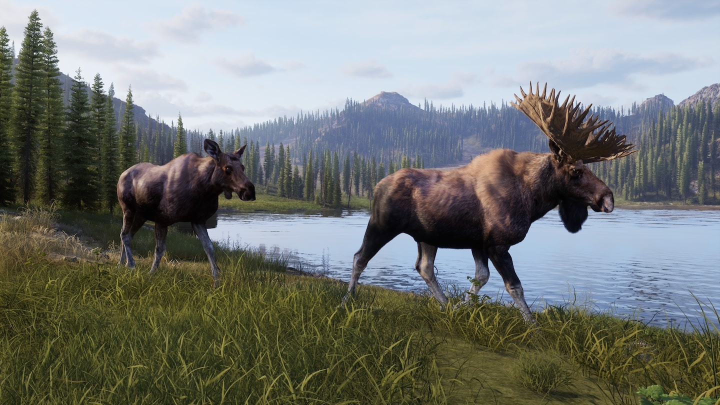 WAY OF THE HUNTER 2